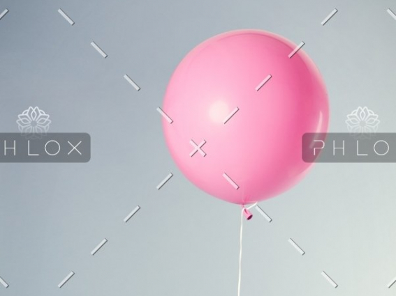 demo-attachment-563-florian-klauer-nptLmg6jqDo-unsplash@2x