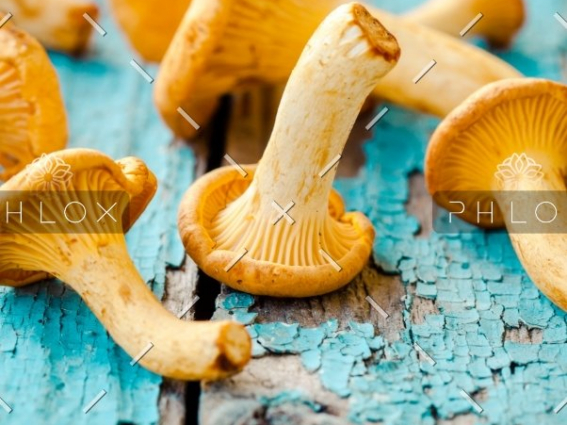 demo-attachment-1548-fresh-chanterelle-mushrooms-on-a-wooden-P5YD4CZ@2x