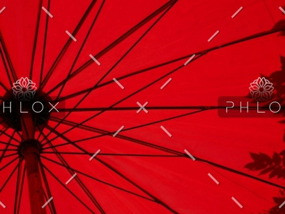 demo-attachment-1549-loic-furhoff-YERwza88a0o-unsplash@2x